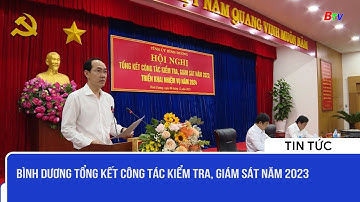 Bình Dương tổng kết công tác kiểm tra, giám sát năm 2023