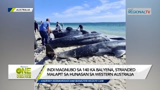 One Western Visayas: Indi magnubo sa 140 ka balyena, stranded sa hunasan sa Western Australia