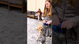 FETCH Program  Spring 2024 at the University of MN