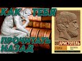 Аристотель, Этика - стоит ли читать в 2026 году