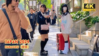 4K Hdr Japan Travel 2024 Walk In Harajuku原宿Tokyo Japan Relaxing Natural City Ambience