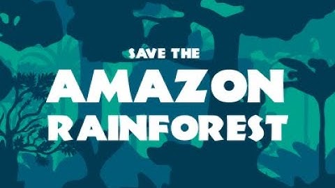 [Accepted] Save The Amazon Rainforest - WWDC2021 Swift Student Challenge