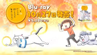 犬と猫どっちも飼ってると毎日たのしいBlu-ray（初回限定生産）