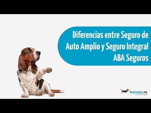 Diferencias entre Seguro de Auto Amplio y Seguro Integral - ABA Chubb - Rastreator.mx®