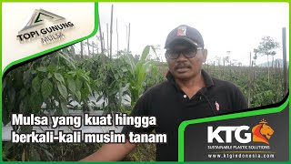 Pakai Topi Gunung, Hemat Sampai 4 Kali Musim Tanam. Kok bisa ? [KTG Agro Testimoni] screenshot 4