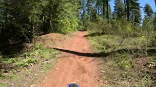 Trail 100 at Huckleberry Flats OHV on a YZ450F