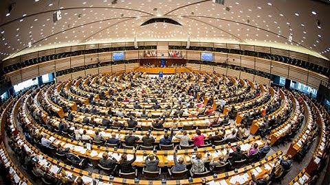 Plenary zapping: Counter-terrorism, Jobs, Climate