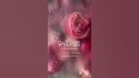 إن الله وملائكته يصلون على النبي ﷺ #ناصر_القطامي #النبي_صلى_الله_عليه_وسلم #ارح_قلبك #تلاوة_خاشعة