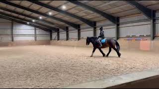 Anoif Naelcam Riding Zak Doing E-Riders Novice 3B Any Tack For October 2025