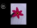 Handmade crochet Lily flower 🌹 #crochet #design #art#handmade#knitting