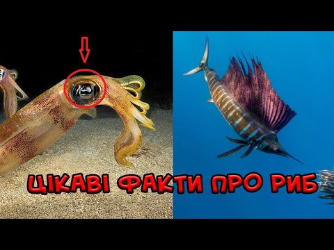 20 ЦІКАВИХ ФАКТІВ ПРО РИБ, ЯКІ ТИ ТОЧНО НЕ ЗНАВ!!!