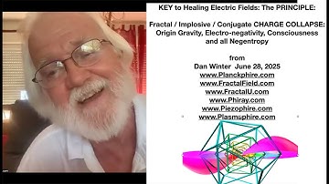 KEY to Healing Electric Fields: The PRINCIPLE:Fractal / Implosive / Conjugate CHARGE COLLAPSE