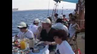 Эйлат: Вечное лето на Красном море (часть 2-я).  видео