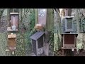 Pest Control with Air Rifles - Squirrel Shooting - Feeders! Pest Control with Air Rifles - Squirrel Shooting - Feeders!
