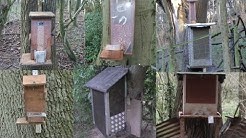 Pest Control with Air Rifles - Squirrel Shooting - Feeders! 