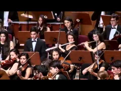 Video: Senfoni Orkestrasına Hangi Enstrümanlar Dahildir?