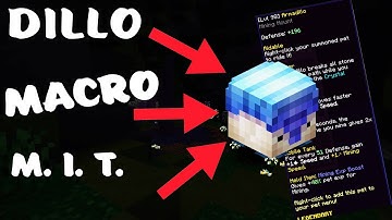 Hypixel Skyblock ARMADILLO MACRO