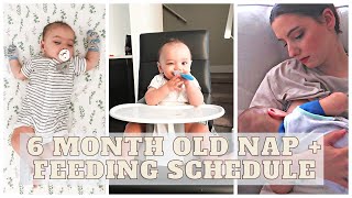 Nap + Feeding Routine for 6 month old | No Sleep Training | Daytime 'Schedule' - Introducing Solids by The Castillos 247 views 2 years ago 13 minutes, 43 seconds