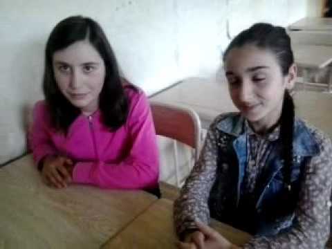 დარგები და ჟანრები