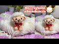 Haz este Borreguito de la abundancia en menos de 5 minutos😍🐑-Tutorial crochet