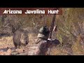Traditional Archery Javelina Hunt