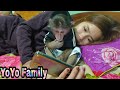 Baby Monkey| YoYo Monkey likes to watch phones with Mom |Family YoYo|