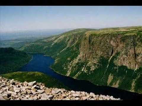 Saltwater Joys: A Tribute to Newfoundland and Labrador