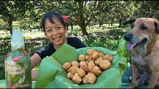 ビビちゃんが作るフィリピン風パパイヤの肉だんご＆唐辛子ソース【日本語字幕】