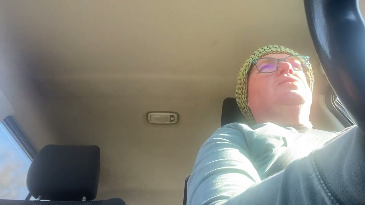 Пойдём купим угощение для цыплят и расскажем тебе о вчерашней встрече.