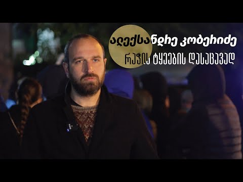 ალექსანდრე კობერიძე რაჭის ტყეების დასაცავად