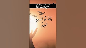 سورة المائدة - ما المسيح بن مريم إلا رسول قد خلت من قبله الرسل وأمه صديقة كانا يأكلان الطعام