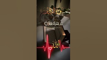 تلاوة خاشعة مؤثره تريح القلب #اكسبلور