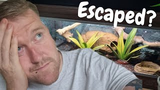 How To Easily Find A Lost ESCAPED Pet Snake!