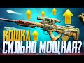 НОВАЯ СИЛЬНАЯ ВИНТОВКА В CALL OF DUTY MOBILE | ЛУЧШАЯ СБОРКА КОШКА CALL OF DUTY MOBILE