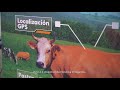 Innogando - Premios AGADER