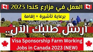 الهجرة و العمل في مزارع كندا 2023 🇨🇦 Farm Worker Jobs in Canada with Visa Sponsorship 2023