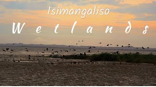 Isimangaliso Wetlands Coming Soon . . . .