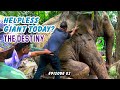 Tears &amp; Triumph | The Emotional End of Dasaya&#39;s Rescue Mission.  Episode 02.