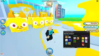 Roblox Pet Simulator X Pet Changers Script