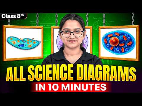 All Important Science Diagrams in 10 Minutes 🔥 | Class 8th | Quick Revision