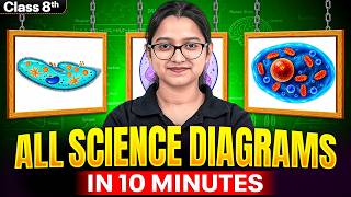 All Important Science Diagrams in 10 Minutes 🔥  | Class 8th | Quick Revision