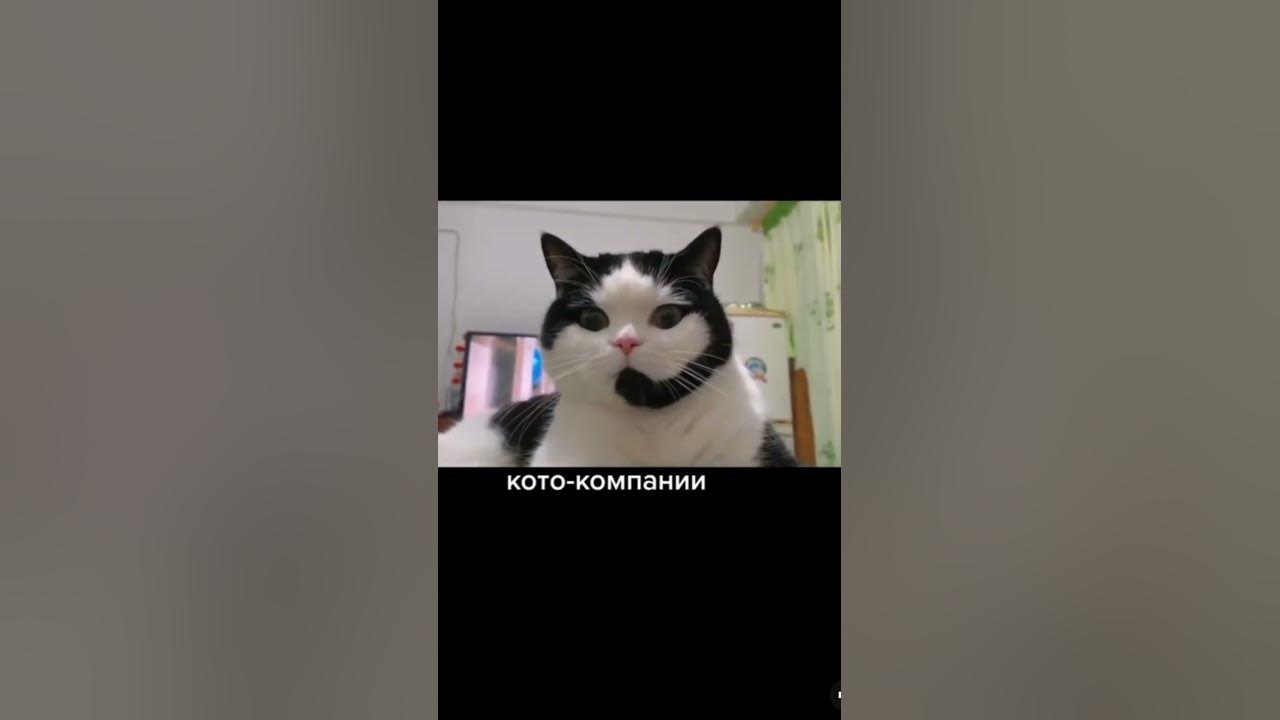 Добрый вечер, я диспетчер 😑🤣🤣🤣🤣 - YouTube