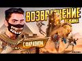 ВОЗВРАЩЕНИЕ ФАРАОНА В PUBG MOBILE - НОВЫЙ РЕЖИМ! 😰 БЕРЕМ ТОЛЬКО ТОП 1 - ПУБГ МОБАЙЛ VETREL СТРИМ