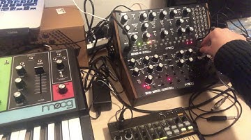 Moog Grandmother + Moog Mother-32 + Moog DFAM: Semimodular Jam Session (electronic music)