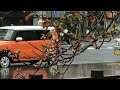 鹿児島市の光景｜雨の中 鹿児島県立博物館考古資料館前の咲き始めた山桜を Shot by i…