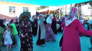 Samsun Düzardıç Köyü Ersin Tekelin Dügünü Giresun Kırması