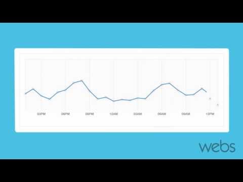 Website Traffic Monitor