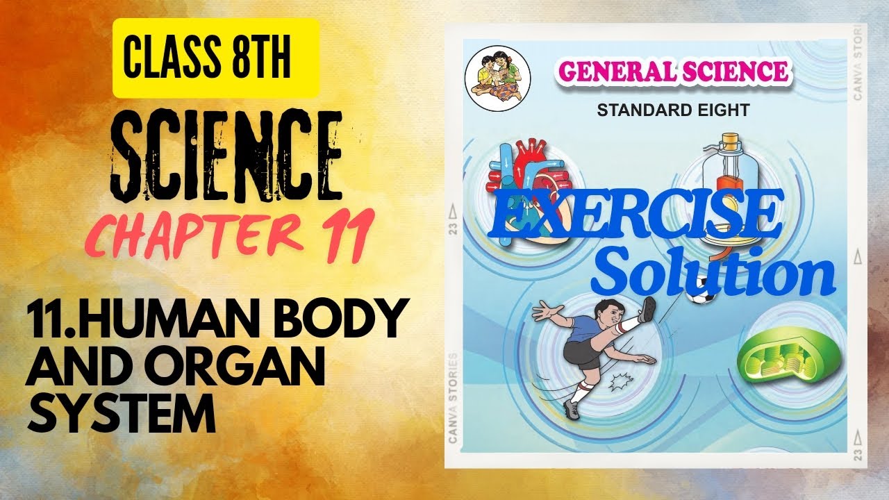 Class 8th chapter 11 | 11.HUMAN BODY AND ORGAN SYSTEM | FULL EXERCISE ...