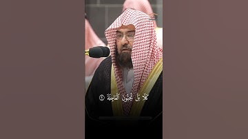 سورة القيامة الشيخ عبد الرحمن السديس الايات 20-29 | #قرآن #عبدالرحمن_السديس #سورة_القيامة