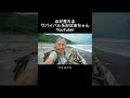 AIが考えるサバイバル系YouTuber #ai動画 #ai #aivideo #おばあちゃん #サバイバル
